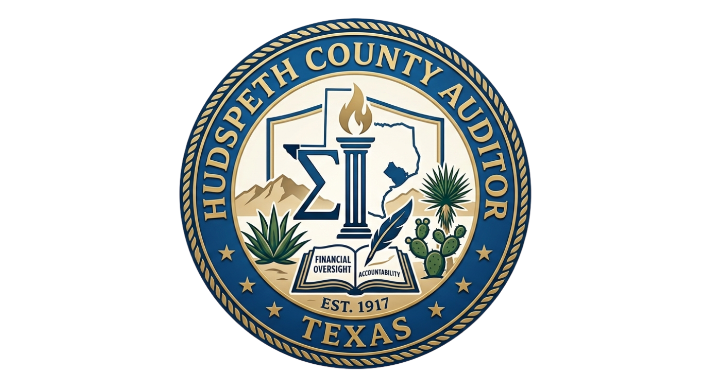 auditor logo 